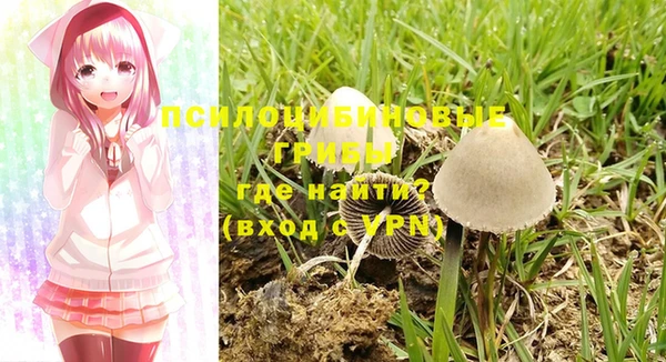 хмурый Баксан