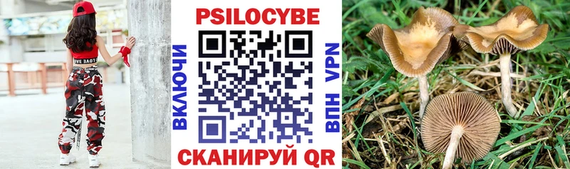 цены Пятигорск Псилоцибиновые грибы мухоморы