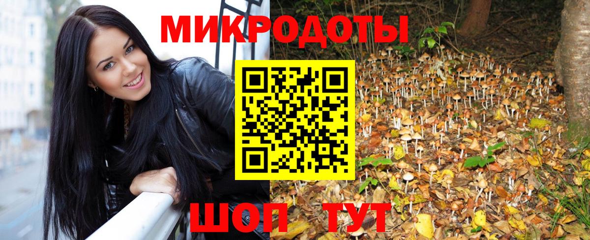 Галлюциногенные грибы Cubensis  Псилоцибиновые грибы мицелий  Вход с VPN  Пятигорск 