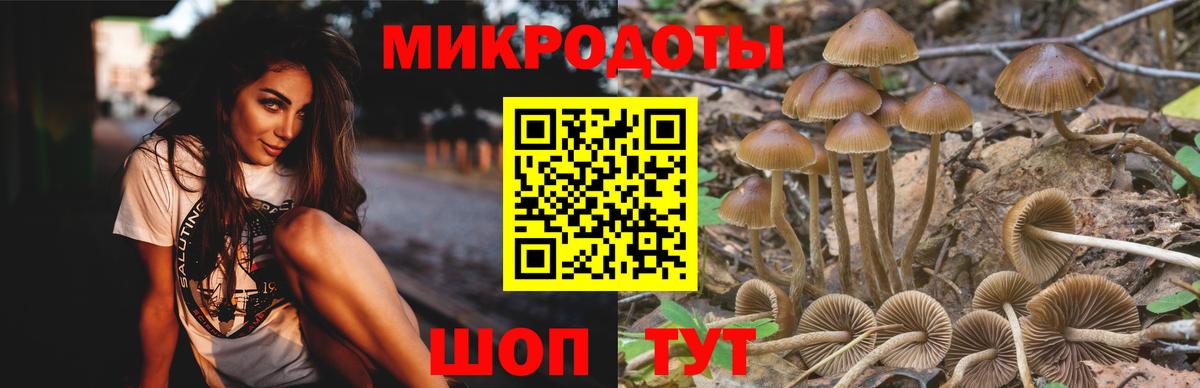 Галлюциногенные грибы мухоморы Пятигорск